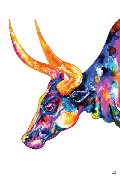Ankole Longhorn by Zaira Dzhaubaeva art print
