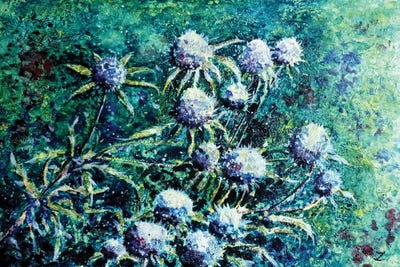 Globe Thistles by Zaira Dzhaubaeva canvas print