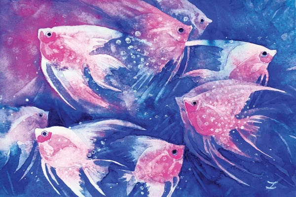 Angelfish: Graceful Pink by Zaira Dzhaubaeva