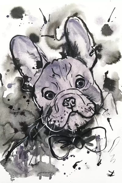 French Bulldogs: Lilac Frenchie by Zaira Dzhaubaeva