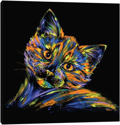 Look Canvas Art Print - Kitten Art