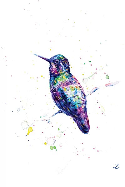 Hummingbirds: Magnificent by Zaira Dzhaubaeva