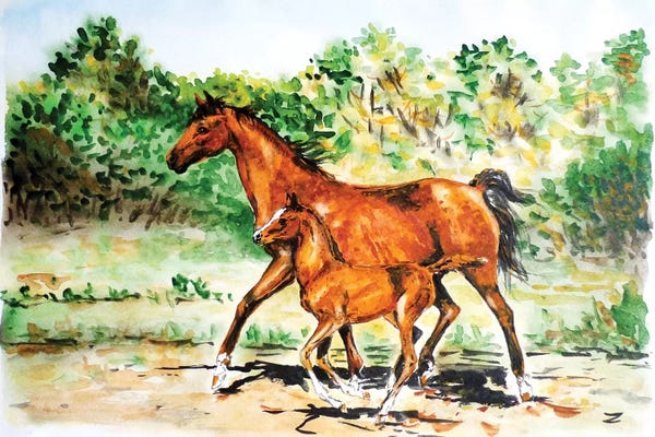 Zaira Dzhaubaeva: Mare With Foal by Zaira Dzhaubaeva