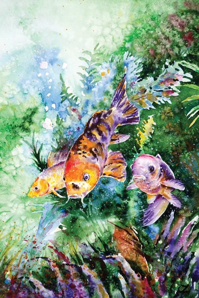 Koi: Aquarium by Zaira Dzhaubaeva