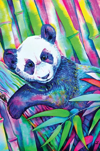 Pandas: Panda Bliss by Zaira Dzhaubaeva