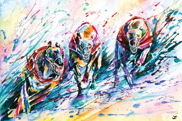 Greyhounds: Race by Zaira Dzhaubaeva