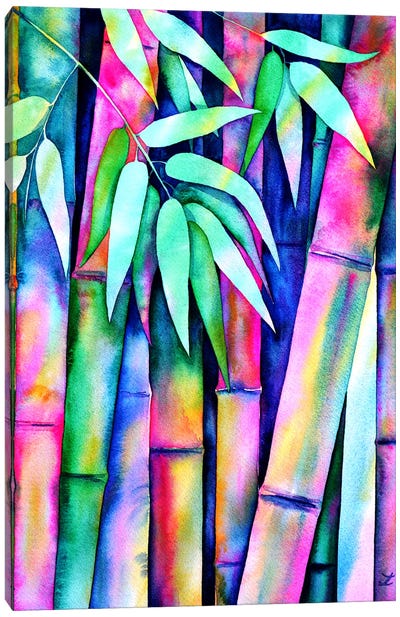 Rainbow Bamboo Canvas Art Print - Zaira Dzhaubaeva