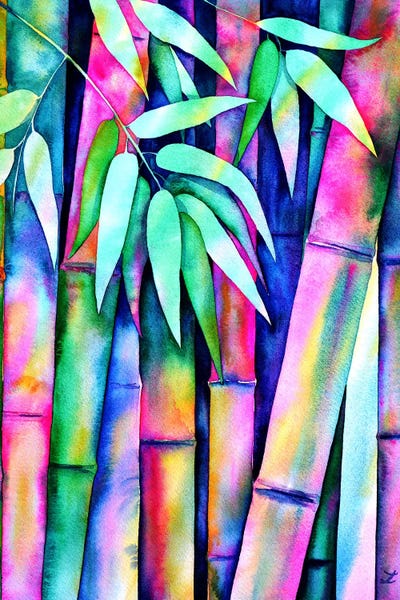 Bamboo: Rainbow Bamboo by Zaira Dzhaubaeva