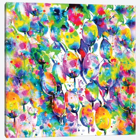 Rainbow Gooseberry Canvas Print #ZDZ93} by Zaira Dzhaubaeva Canvas Artwork