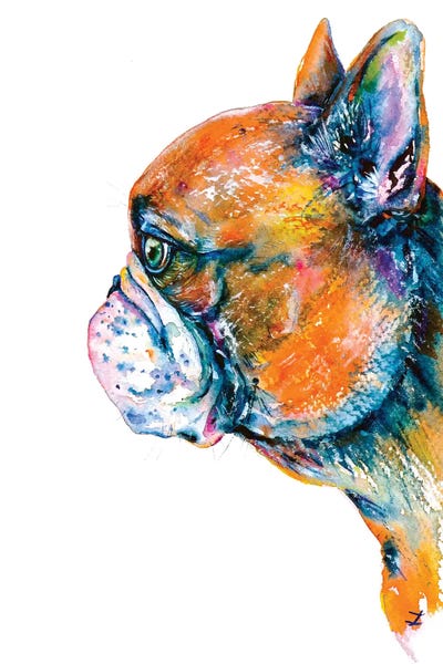 Red-Fawn Frenchie by Zaira Dzhaubaeva acrylic art print