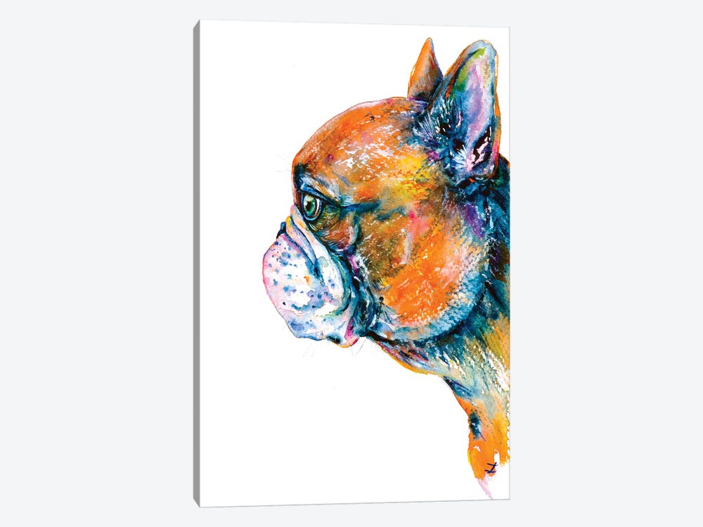 Red-Fawn Frenchie 1-piece Canvas Print