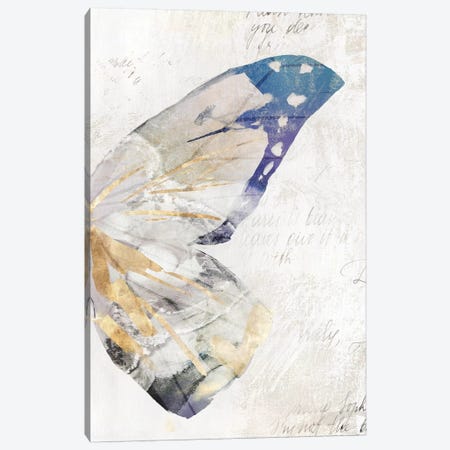 Butterfly Effect III  Canvas Print #ZEE101} by Isabelle Z Canvas Print