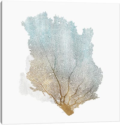 Delicate Coral I  Canvas Art Print - Sea Life Art