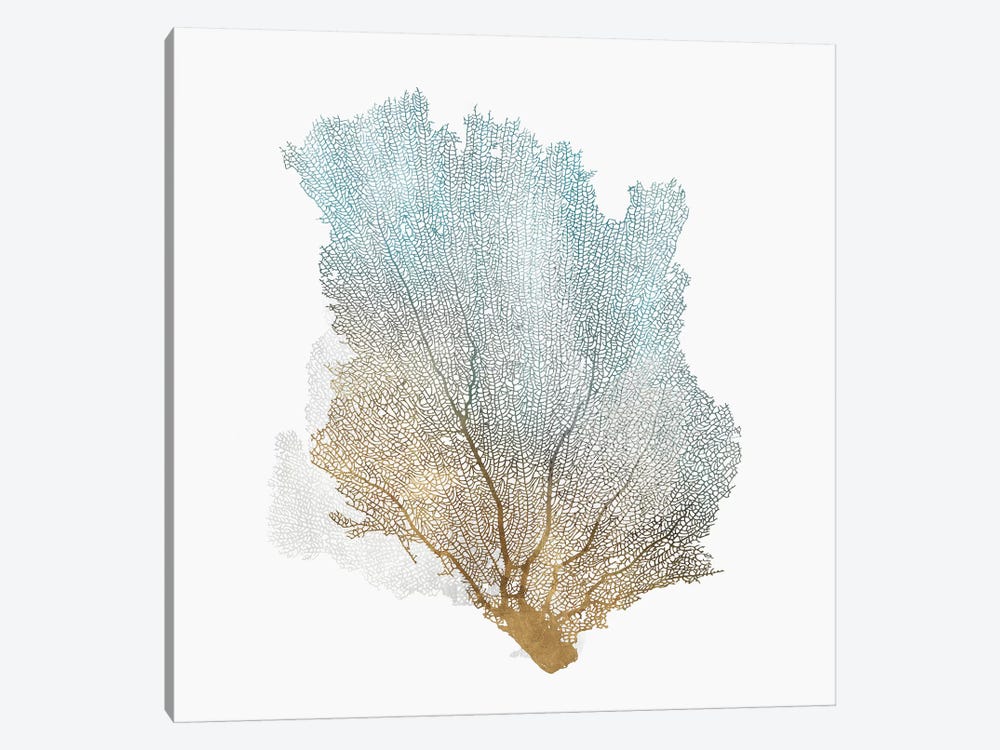 Delicate Coral I  by Isabelle Z 1-piece Canvas Print