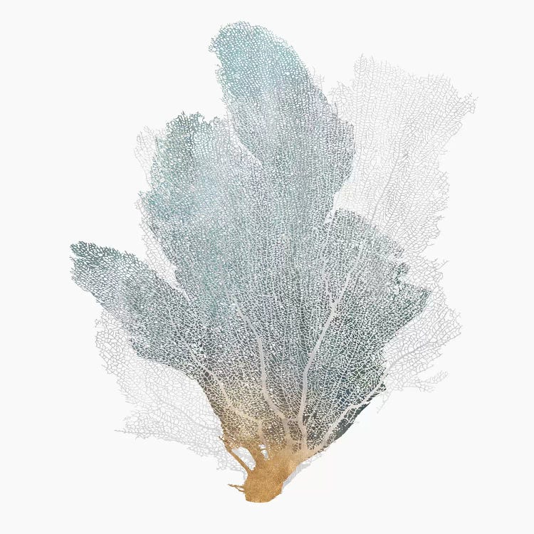 Delicate Coral II 