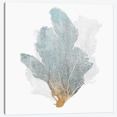 Delicate Coral II  Canvas Print #ZEE103} by Isabelle Z Art Print