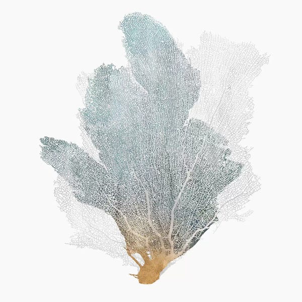 Delicate Coral II 