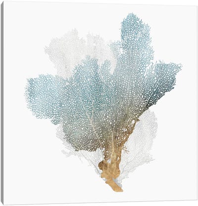 Delicate Coral III  Canvas Art Print - Isabelle Z