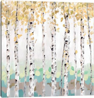 Golden Treescape Canvas Art Print - Birch Tree Art
