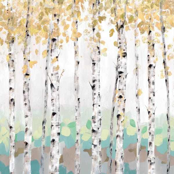 Birch Trees: Golden Treescape by Isabelle Z