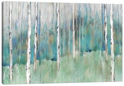 Foothills I  Canvas Art Print - Birch Tree Art