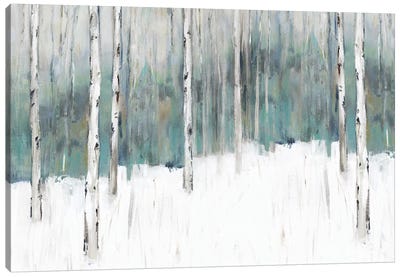 Winter's Trail I  Canvas Art Print - White Art