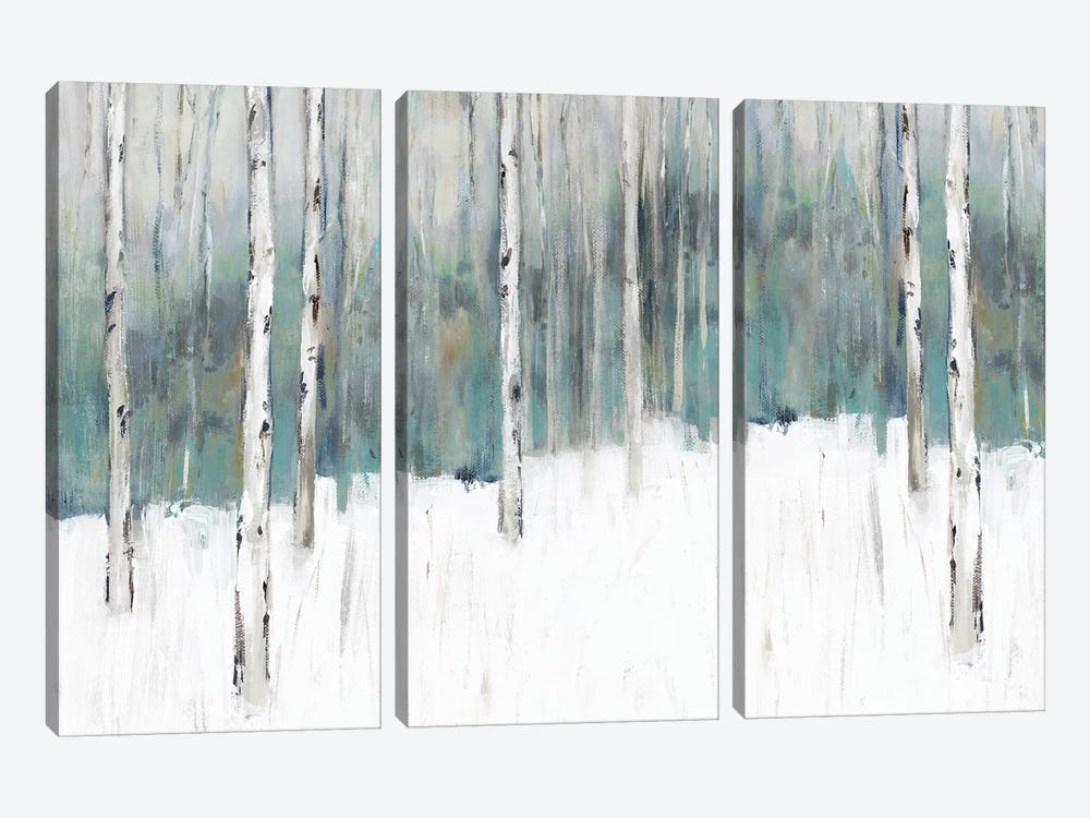 Winter's Trail I  by Isabelle Z 3-piece Canvas Art Print