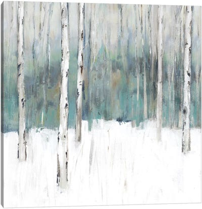 Winter's Trail II  Canvas Art Print - White Art