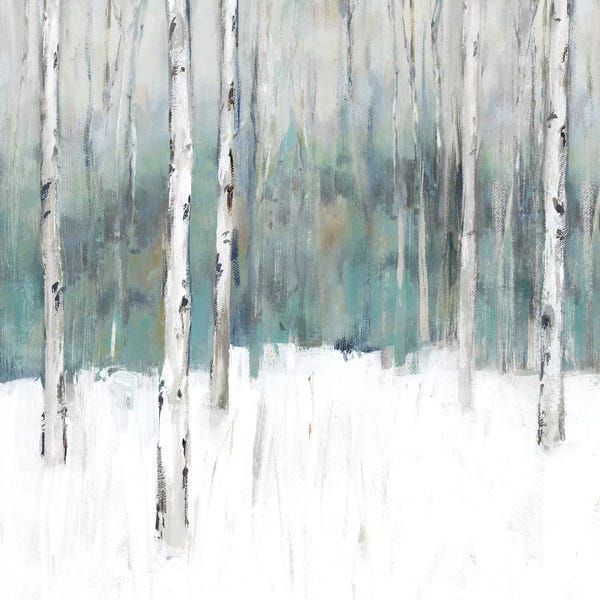 Birch Trees: Winter's Trail II  by Isabelle Z