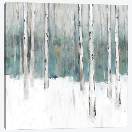 Winter's Trail III  Canvas Print #ZEE221} by Isabelle Z Canvas Art