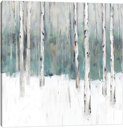 Winter's Trail III  Canvas Art Print - Birch Tree Art