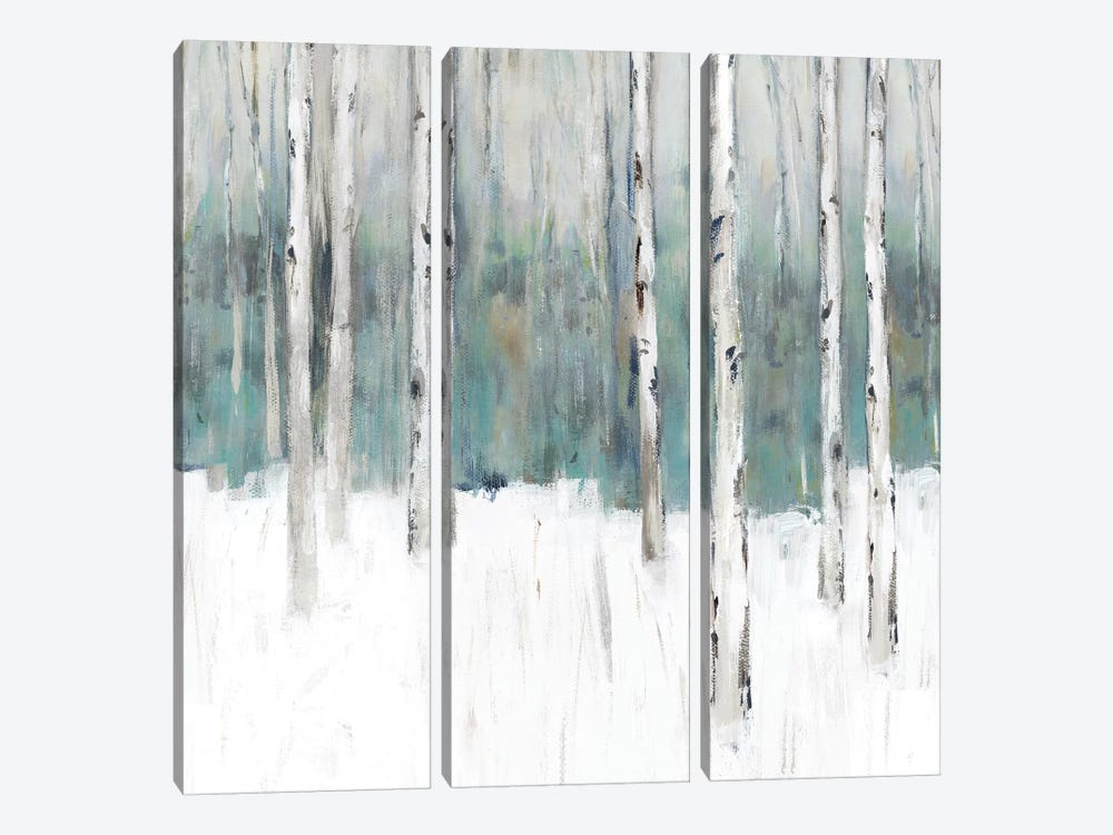 Winter's Trail III  by Isabelle Z 3-piece Canvas Artwork
