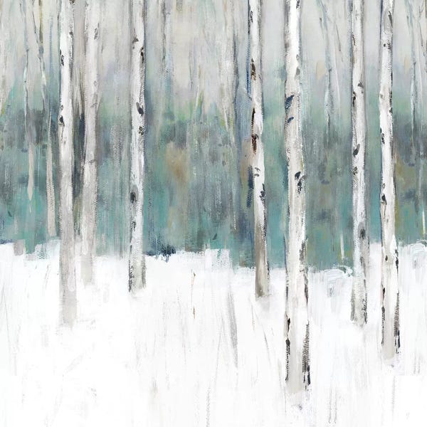Birch Trees: Winter's Trail III  by Isabelle Z