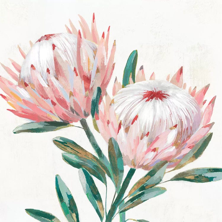 King Protea I