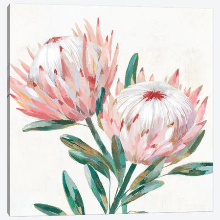 King Protea I Canvas Print #ZEE249} by Isabelle Z Canvas Art