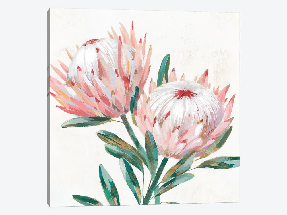 King Protea I by Isabelle Z 1-piece Canvas Artwork