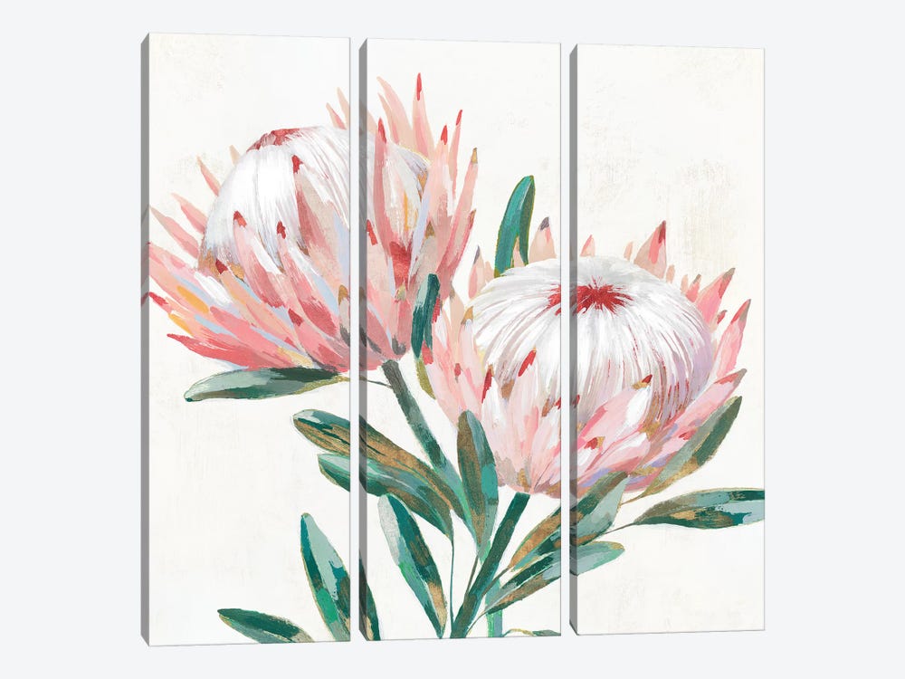 King Protea I by Isabelle Z 3-piece Canvas Wall Art