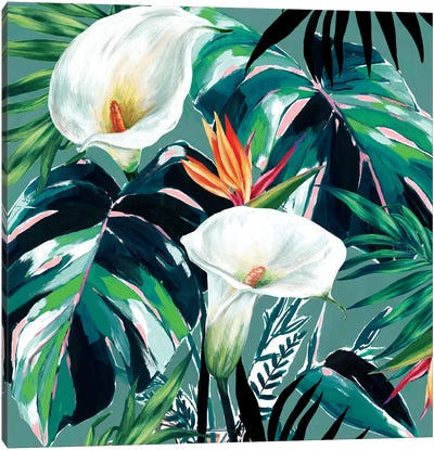 White Lily Paradise  Canvas Art Print - Bird of Paradise