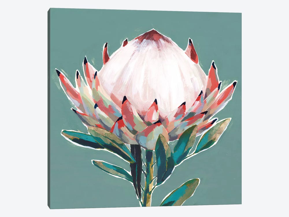 Blooming King Protea  by Isabelle Z 1-piece Art Print