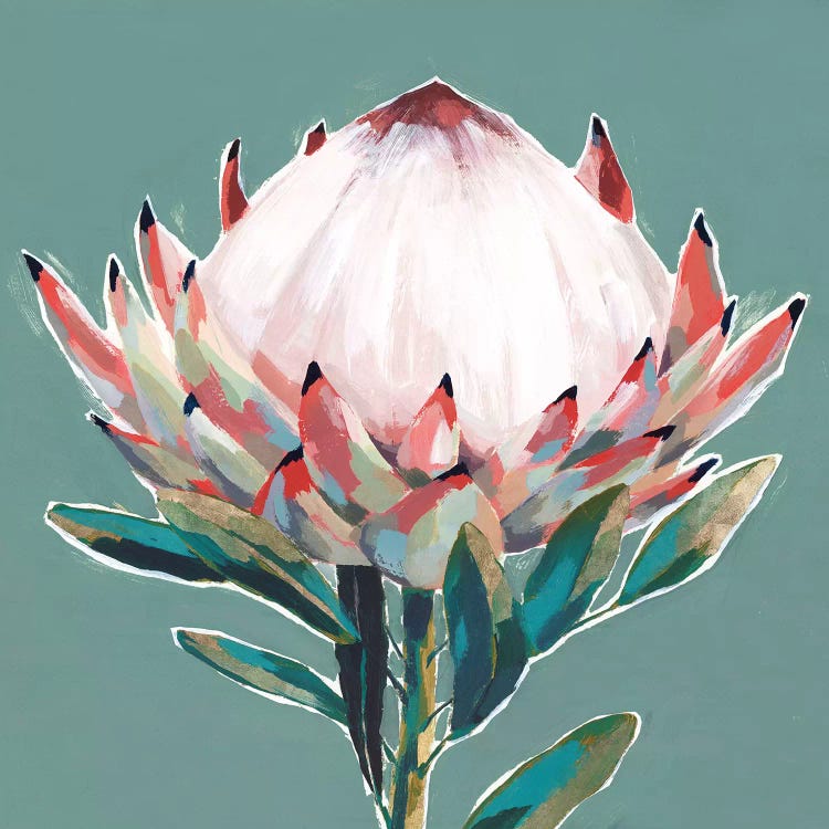 Isabelle Z Single King Protea Châssis-image toile Floraison Afrique Du Sud moderne 