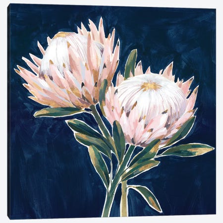 King Proteas  Canvas Print #ZEE285} by Isabelle Z Canvas Art Print