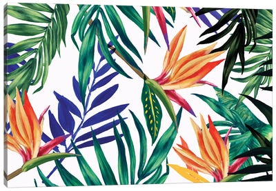 Tropical Foliage  Canvas Art Print - Leaf Art