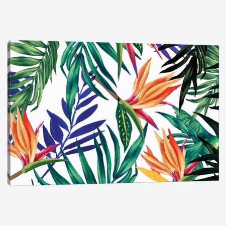 Tropical Foliage  Canvas Print #ZEE288} by Isabelle Z Canvas Wall Art