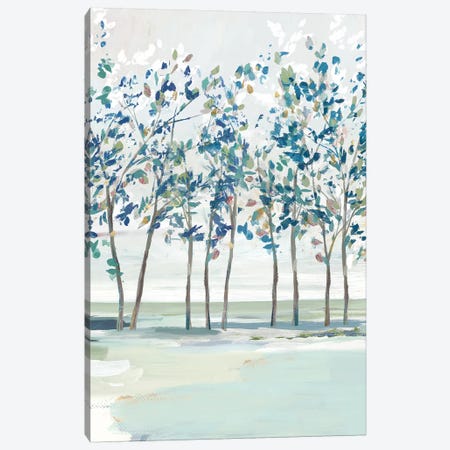 Blue Ridge I  Canvas Print #ZEE297} by Isabelle Z Canvas Wall Art