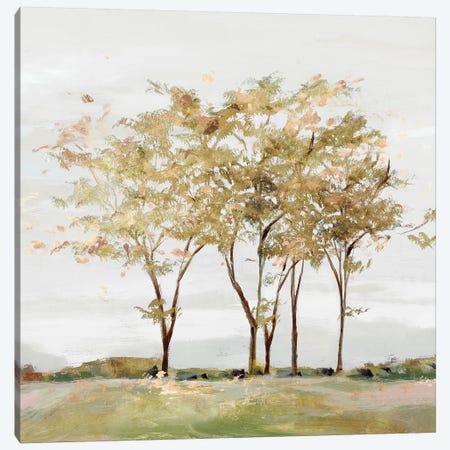 Golden Acre Wood  Canvas Print #ZEE319} by Isabelle Z Canvas Art