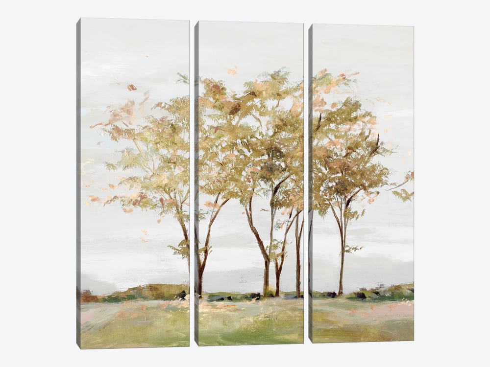 Golden Acre Wood  by Isabelle Z 3-piece Canvas Wall Art