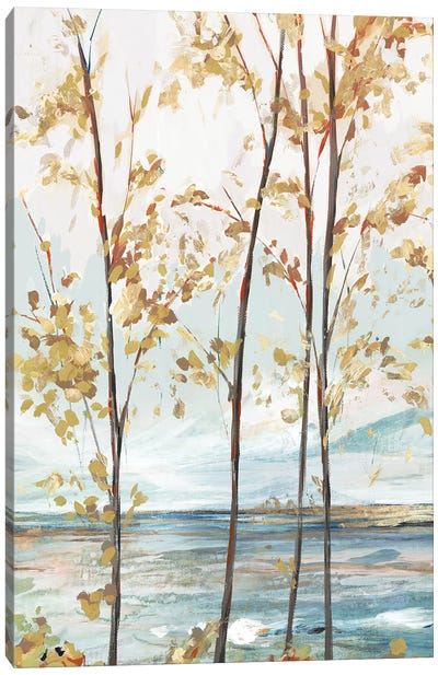 Sage Tree Forest I Canvas Art Print - Isabelle Z