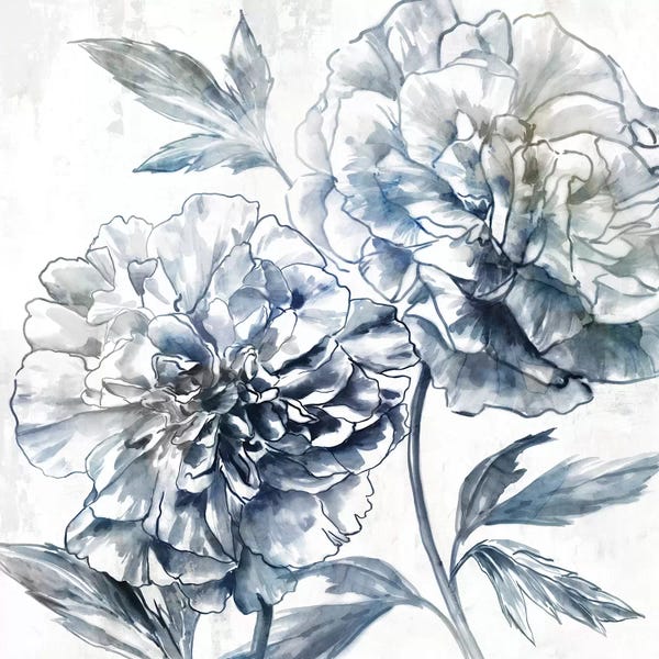 Peonies: Japanese Peony I by Isabelle Z