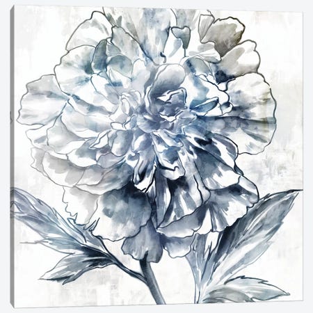 Japanese Peony II Canvas Print #ZEE397} by Isabelle Z Canvas Print