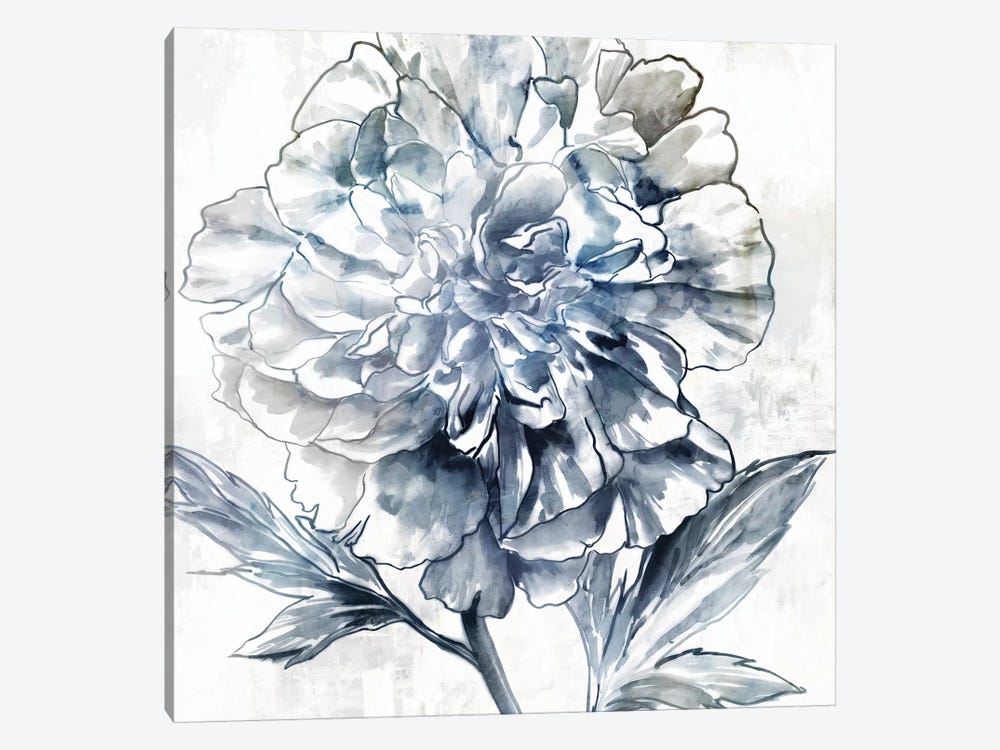 Japanese Peony II by Isabelle Z 1-piece Canvas Wall Art